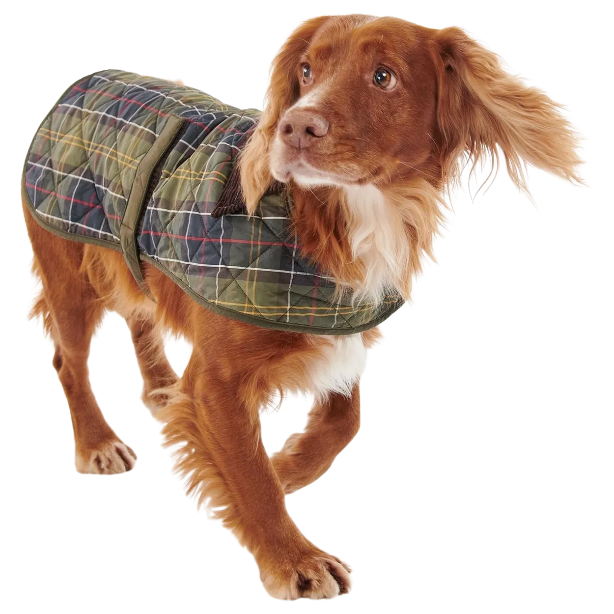 Barbour Tartan Dog Coat