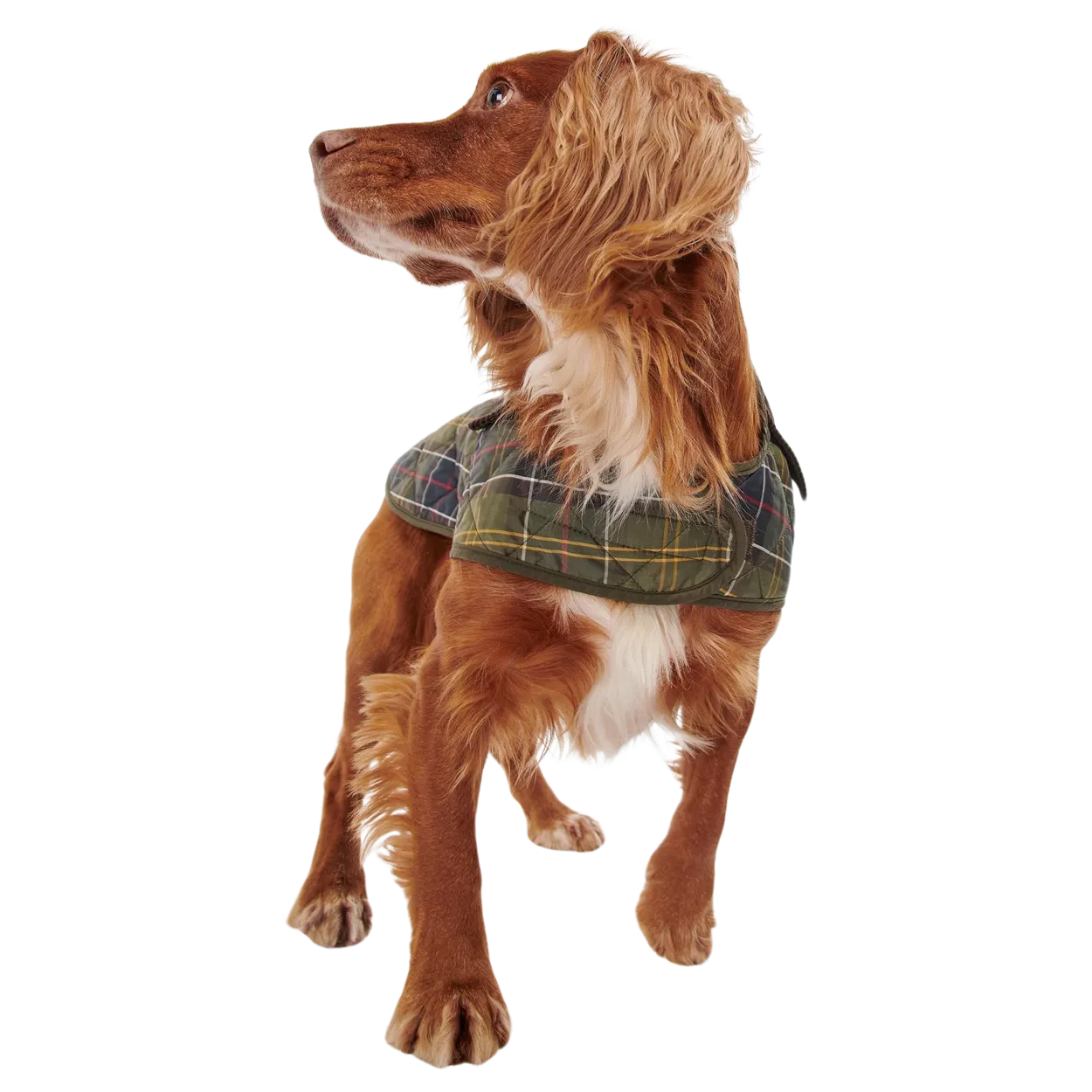 Barbour Tartan Dog Coat