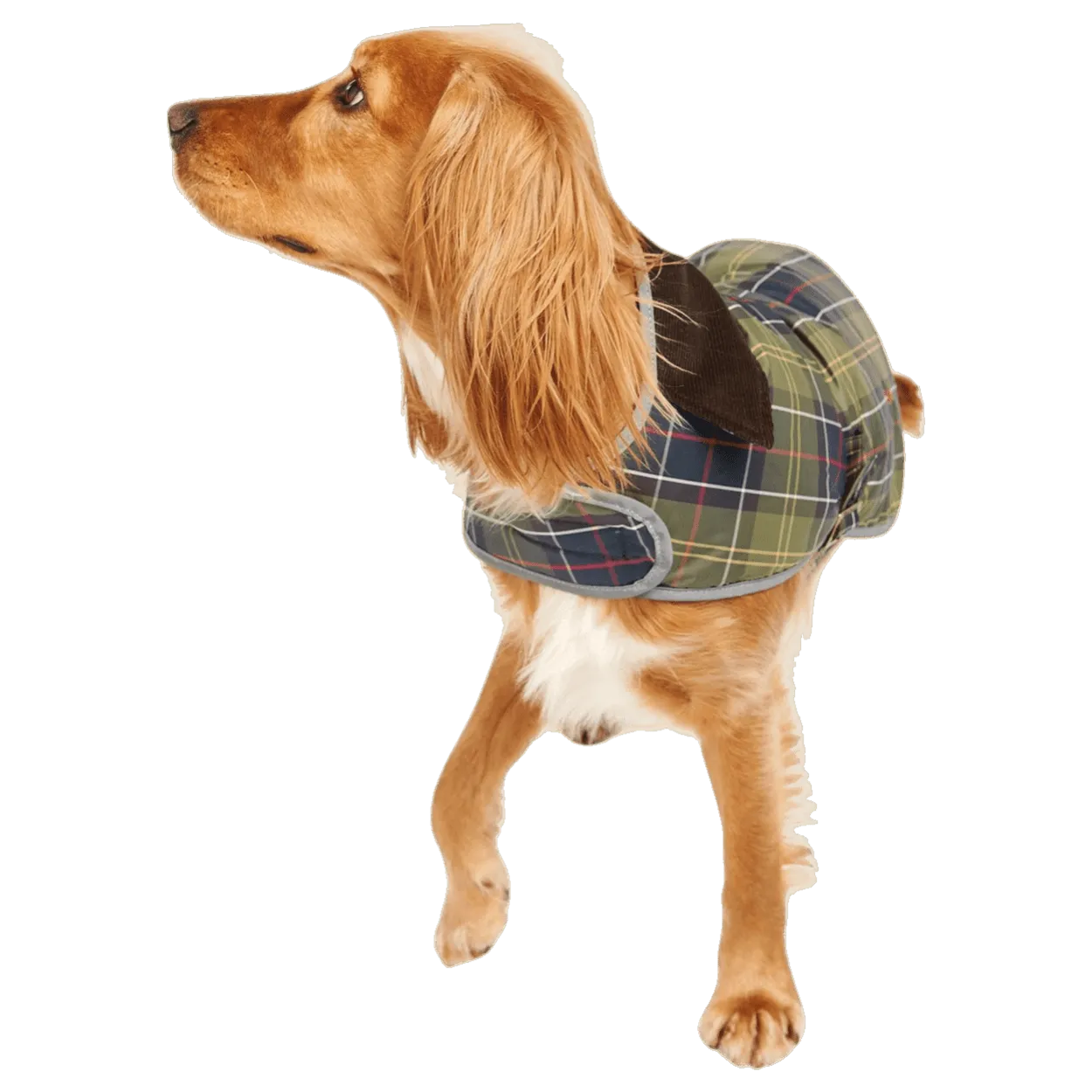 Barbour Wetherham Tartan Dog Coat