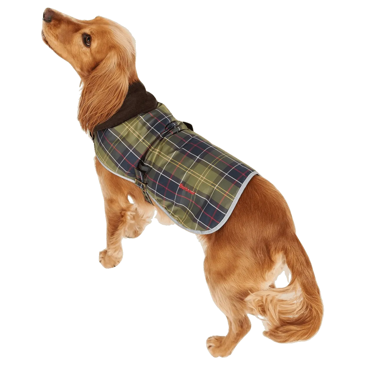 Barbour Wetherham Tartan Dog Coat