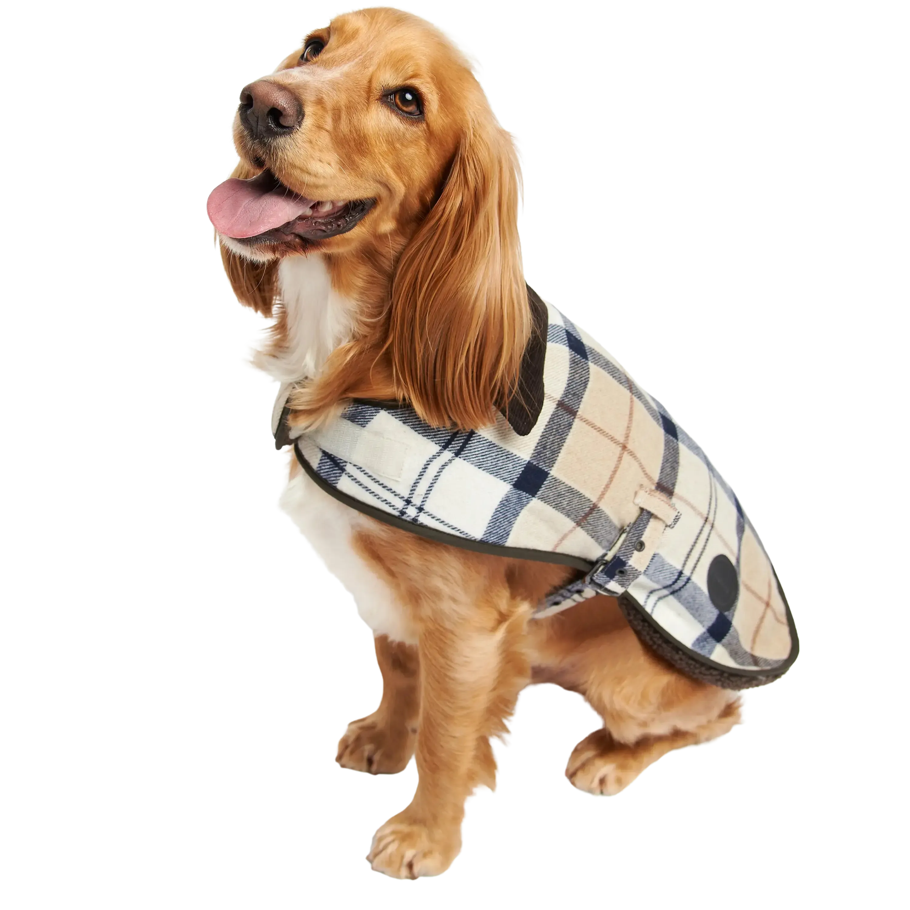 Barbour Wool Touch Dog Coat