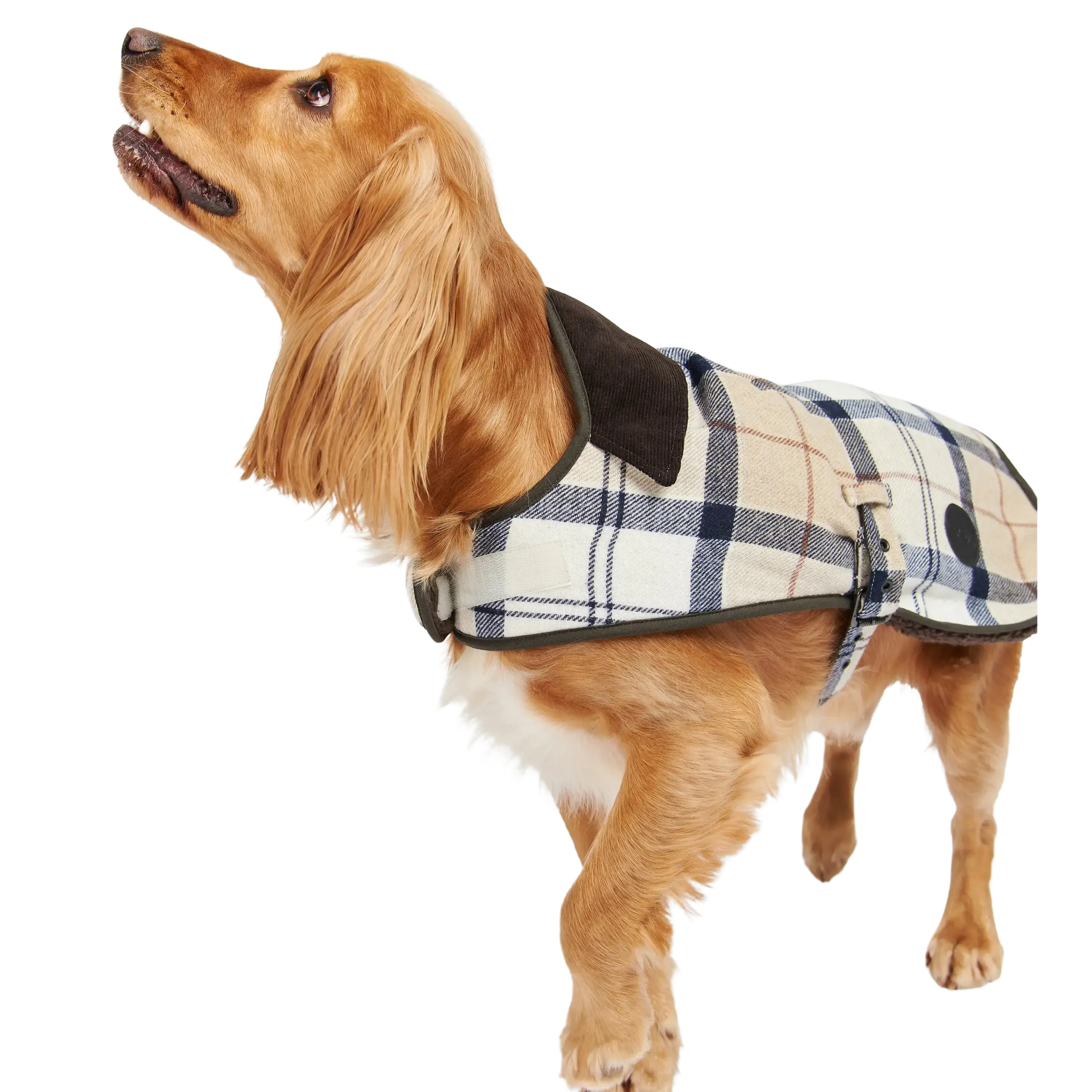 Barbour Wool Touch Dog Coat