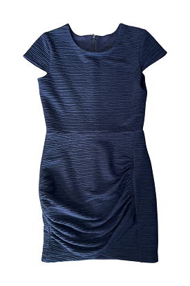 Navy Cap Sleeve Ruched Dress